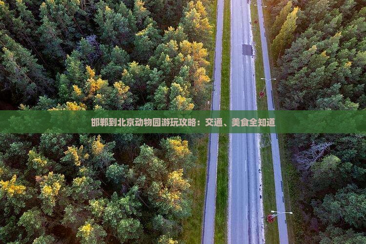 邯郸到北京动物园游玩攻略：交通、美食全知道