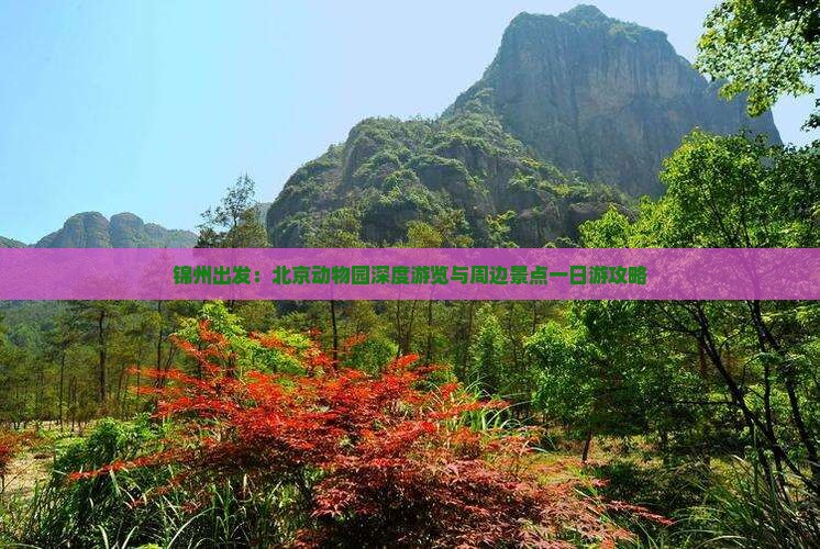 锦州出发：北京动物园深度游览与周边景点一日游攻略