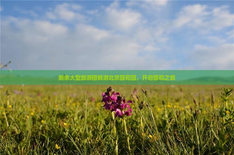 新余大型旅游团畅游北京颐和园，开启颐和之旅