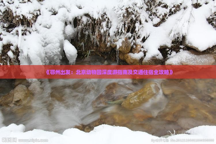 《鄂州出发：北京动物园深度游指南及交通住宿全攻略》