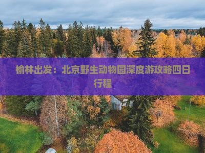 榆林出发：北京野生动物园深度游攻略四日行程