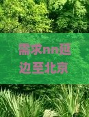 需求nn延边至北京圆明园遗址公园深度游攻略与自由行交通指南