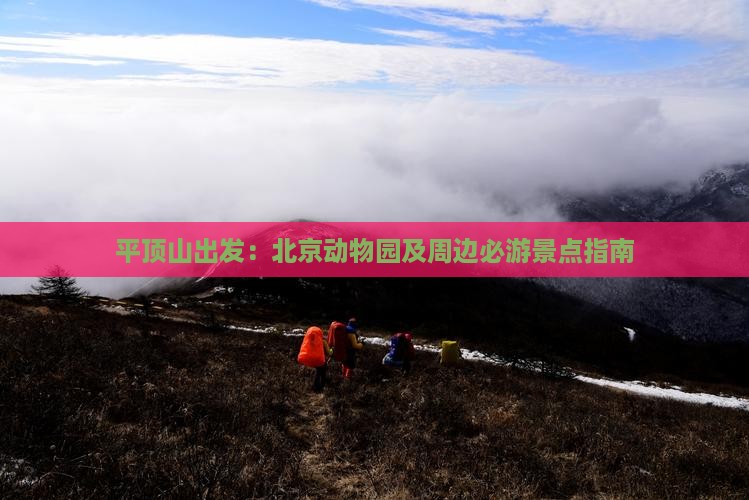 平顶山出发：北京动物园及周边必游景点指南