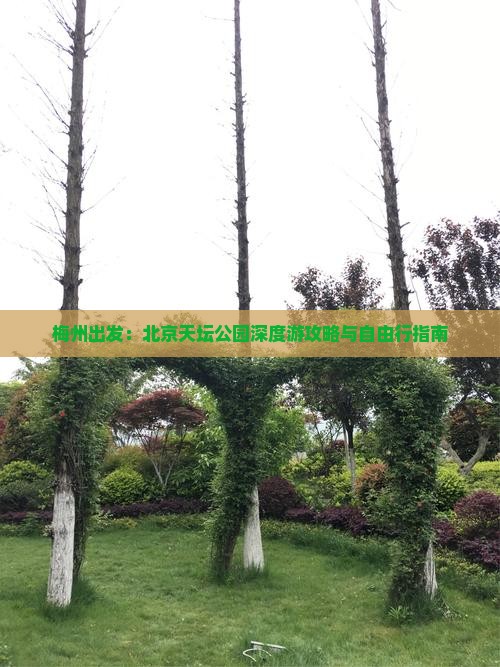 梅州出发：北京天坛公园深度游攻略与自由行指南