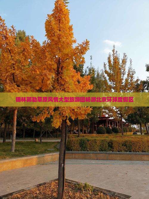 锡林郭勒草原风情大型旅游团畅游北京环球度假区