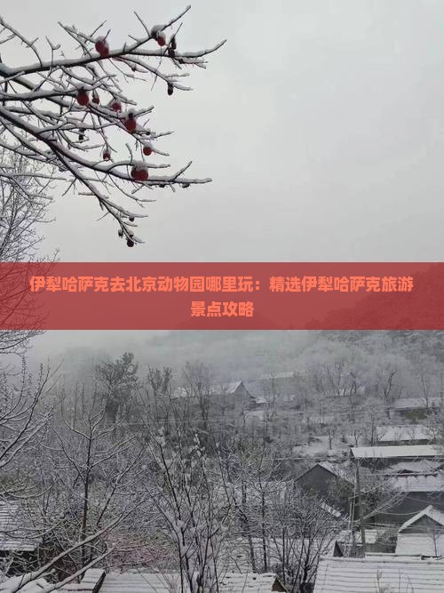 伊犁哈萨克去北京动物园哪里玩：精选伊犁哈萨克旅游景点攻略