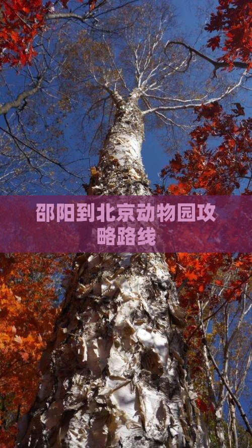 邵阳到北京动物园攻略路线