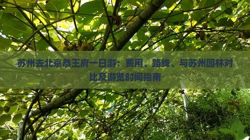 苏州去北京恭王府一日游：费用、路线、与苏州园林对比及游览时间指南