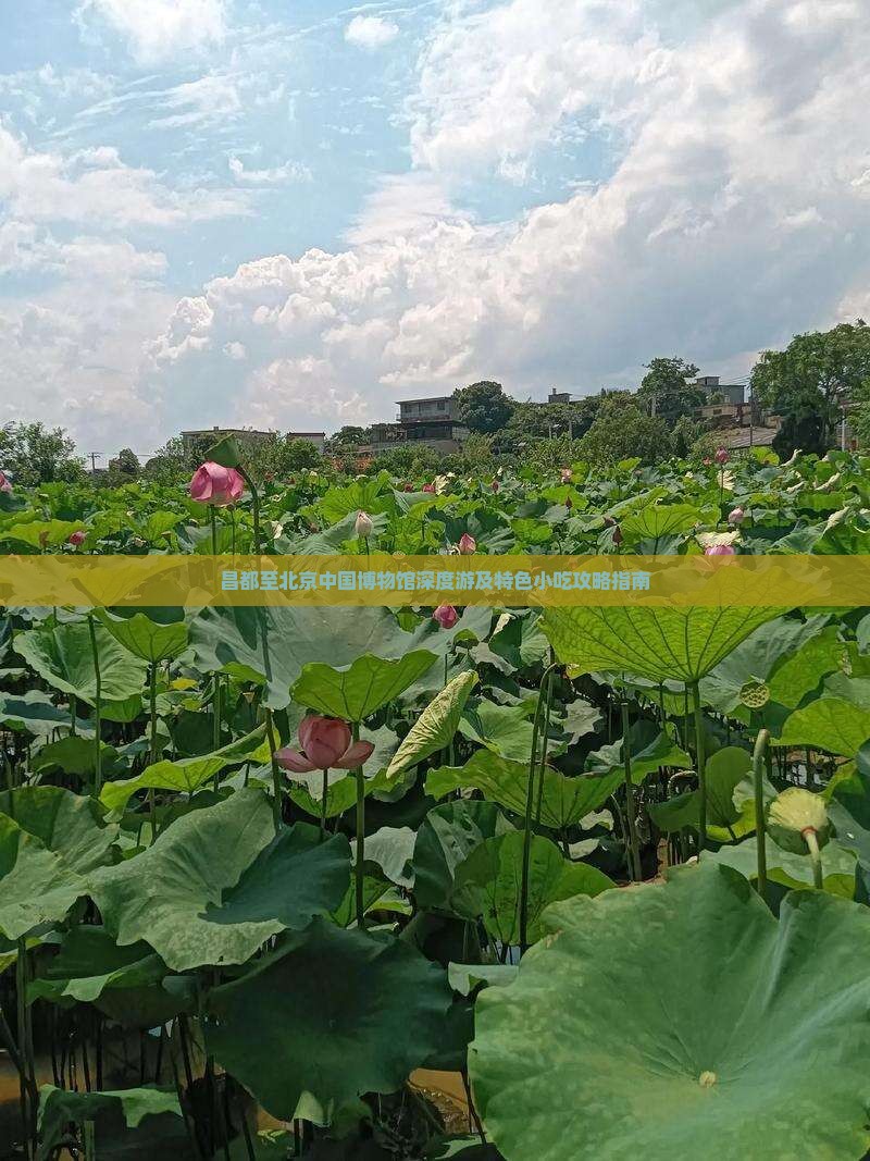 昌都至北京中国博物馆深度游及特色小吃攻略指南