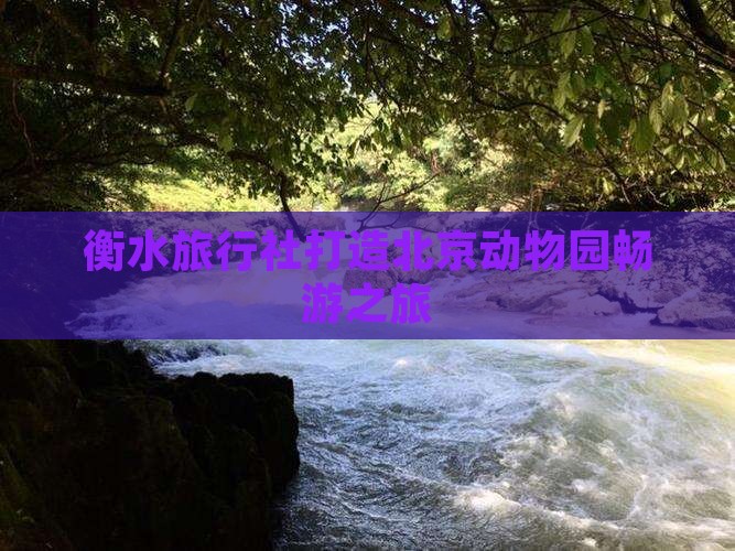 衡水旅行社打造北京动物园畅游之旅