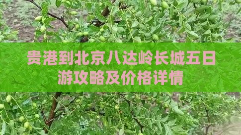 贵港到北京八达岭长城五日游攻略及价格详情