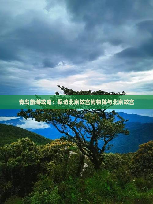 青岛旅游攻略：探访北京故宫博物院与北京故宫