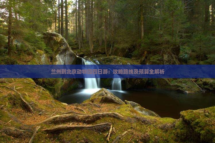 兰州到北京动物园四日游：攻略路线及预算全解析