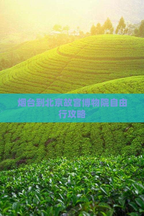 烟台到北京故宫博物院自由行攻略