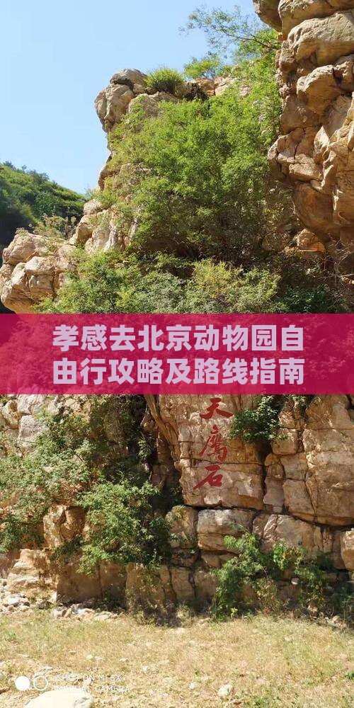 孝感去北京动物园自由行攻略及路线指南