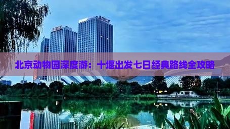 北京动物园深度游：十堰出发七日经典路线全攻略