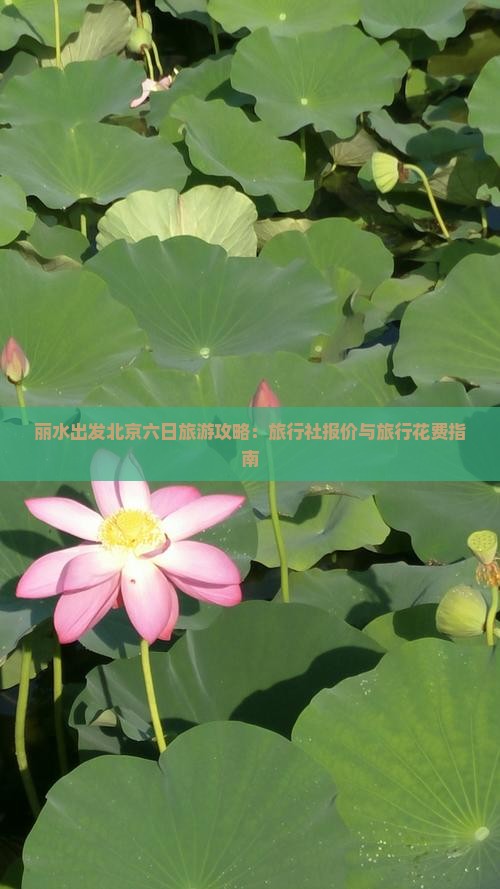 丽水出发北京六日旅游攻略：旅行社报价与旅行花费指南
