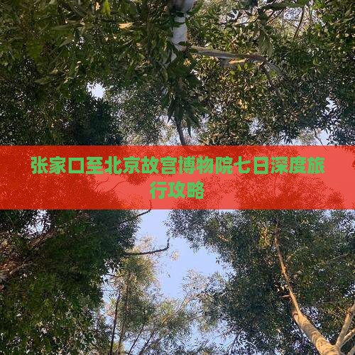 张家口至北京故宫博物院七日深度旅行攻略