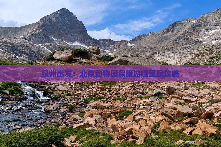 泉州出发：北京动物园深度游哪里玩攻略