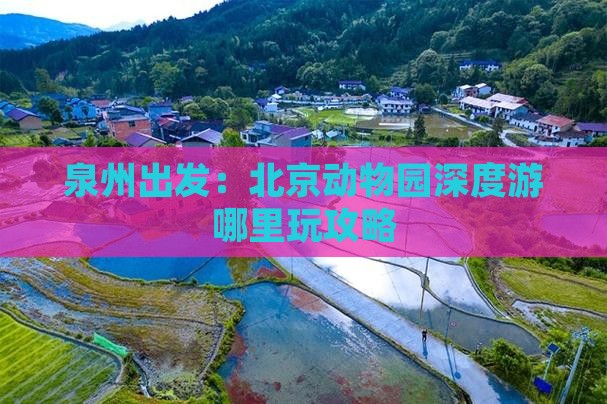 泉州出发：北京动物园深度游哪里玩攻略