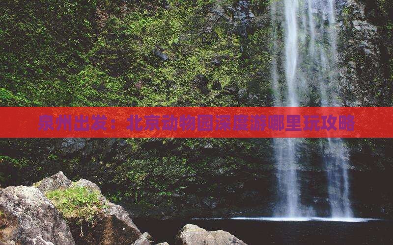 泉州出发：北京动物园深度游哪里玩攻略
