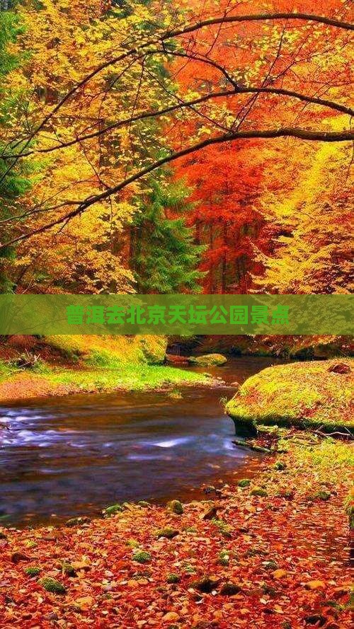 普洱去北京天坛公园景点