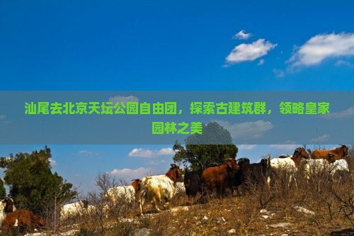 汕尾去北京天坛公园自由团，探索古建筑群，领略皇家园林之美