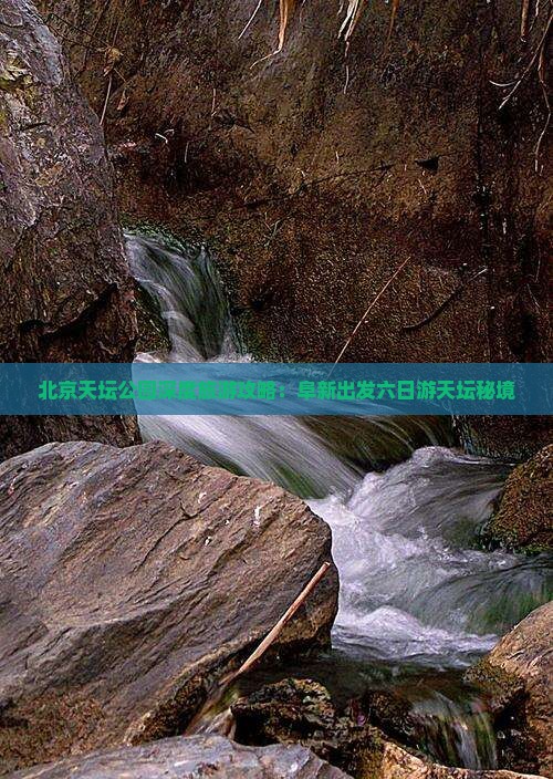 北京天坛公园深度旅游攻略：阜新出发六日游天坛秘境