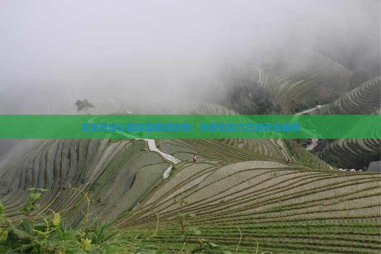 北京天坛公园深度旅游攻略：阜新出发六日游天坛秘境