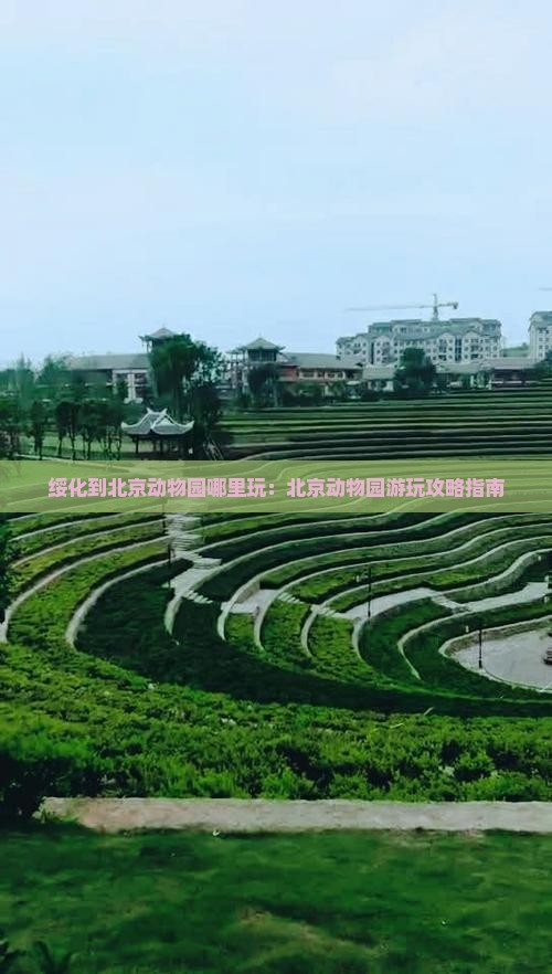 绥化到北京动物园哪里玩：北京动物园游玩攻略指南