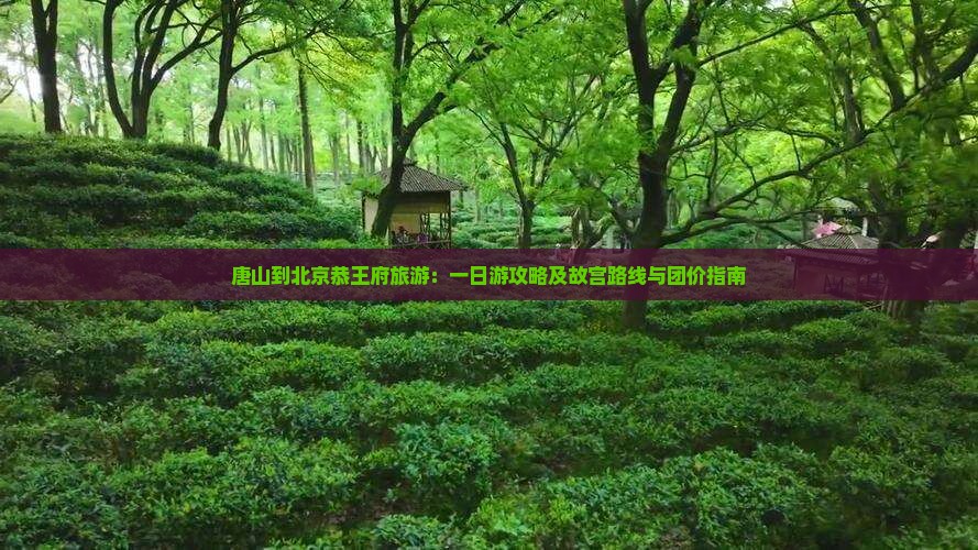 唐山到北京恭王府旅游：一日游攻略及故宫路线与团价指南