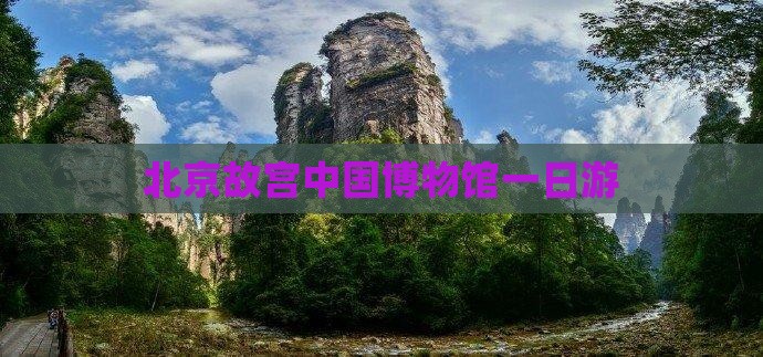 北京故宫中国博物馆一日游