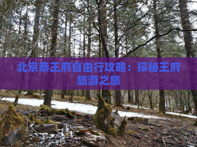 北京恭王府自由行攻略：探秘王府旅游之旅