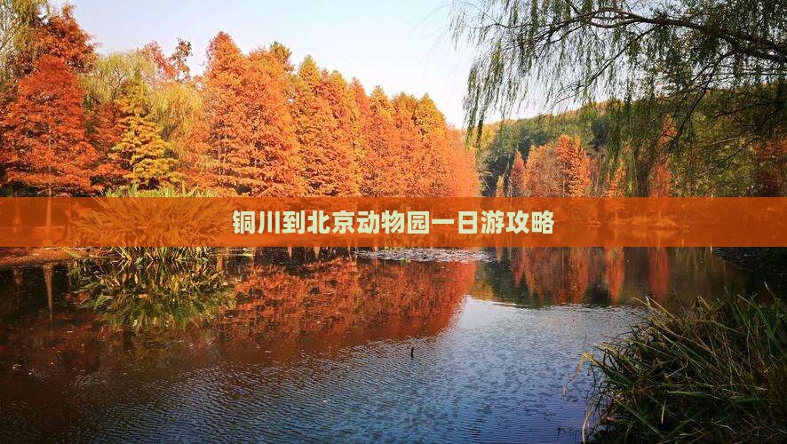 铜川到北京动物园一日游攻略