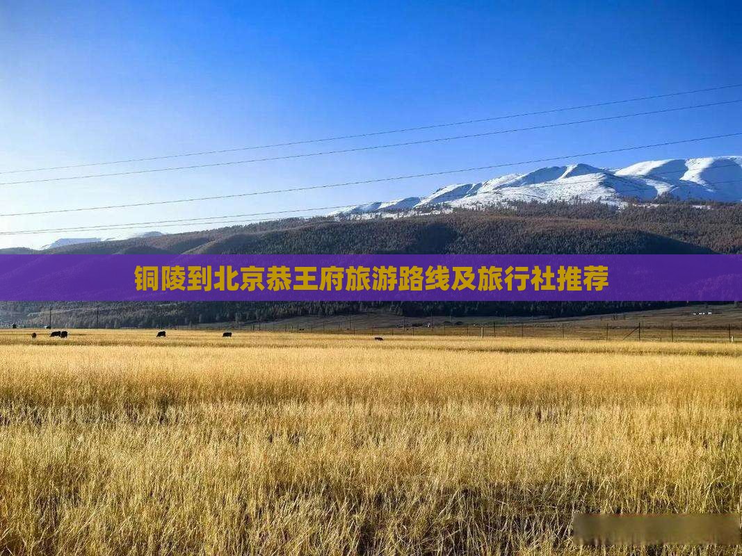 铜陵到北京恭王府旅游路线及旅行社推荐
