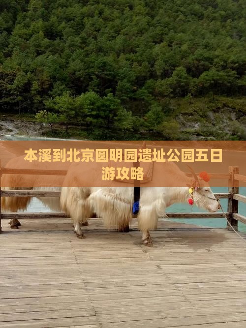 本溪到北京圆明园遗址公园五日游攻略