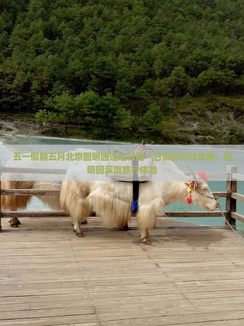 五一假期五月北京圆明园遗址公园一日游旅行社攻略：圆明园深度旅行体验