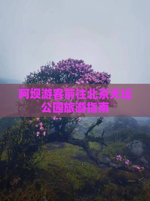 阿坝游客前往北京天坛公园旅游指南 阿坝游客前往北京天坛公园旅游指南