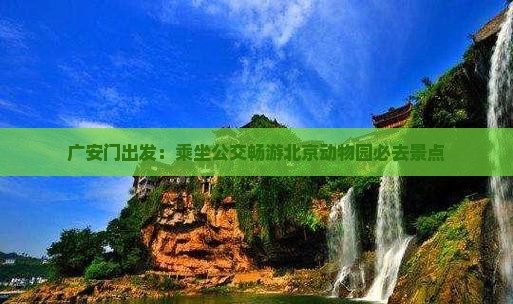广安门出发：乘坐公交畅游北京动物园必去景点