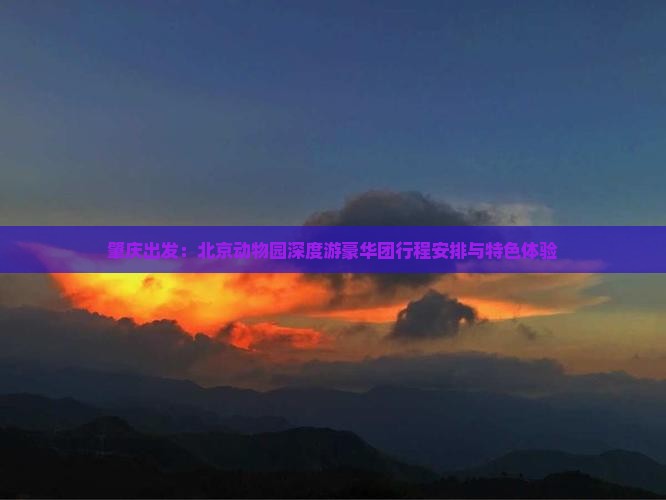 肇庆出发：北京动物园深度游豪华团行程安排与特色体验
