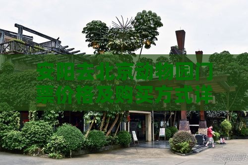 安阳去北京动物园门票价格及购买方式详解