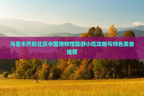 乌鲁木齐到北京中国博物馆旅游小吃攻略与特色美食推荐