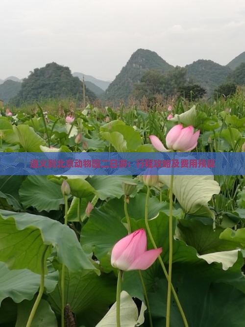 遵义到北京动物园二日游：行程攻略及费用预算