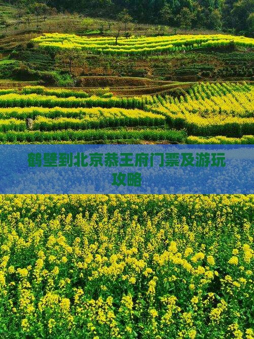 鹤壁到北京恭王府门票及游玩攻略