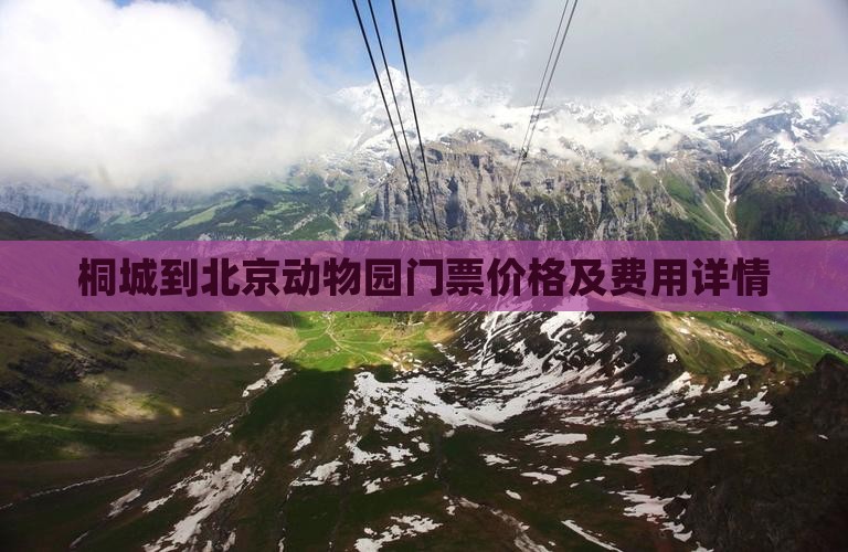 桐城到北京动物园门票价格及费用详情