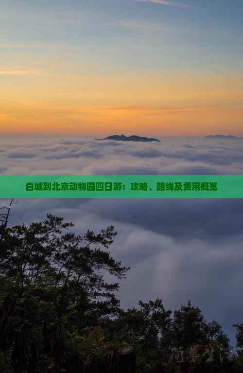 白城到北京动物园四日游：攻略、路线及费用概览