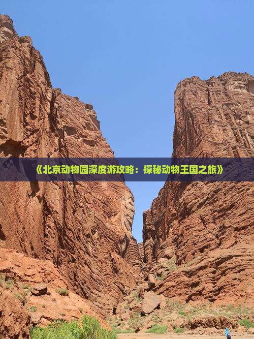 《北京动物园深度游攻略：探秘动物王国之旅》