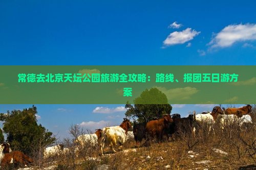 常德去北京天坛公园旅游全攻略：路线、报团五日游方案