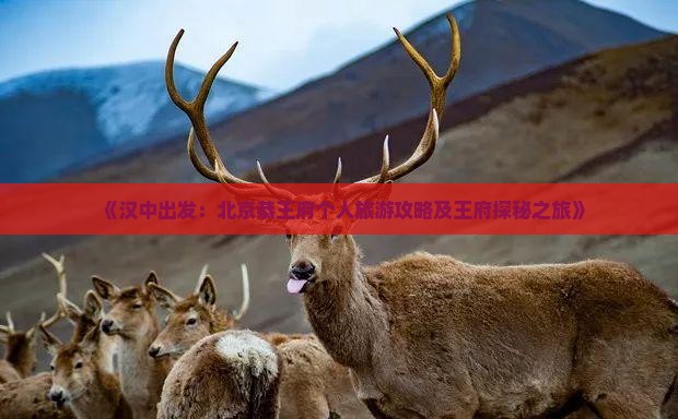 《汉中出发：北京恭王府个人旅游攻略及王府探秘之旅》