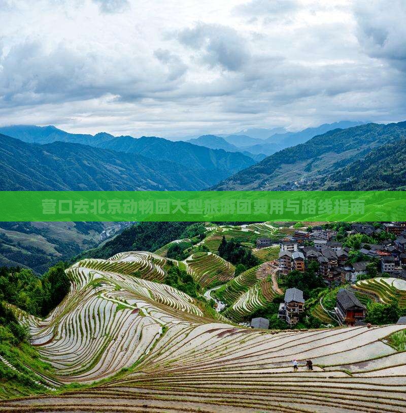 营口去北京动物园大型旅游团费用与路线指南